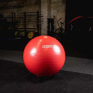 Купить Гимнастический мяч Yousteel Hard 55см в Нягани 